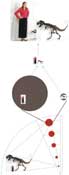 Size and equation. 