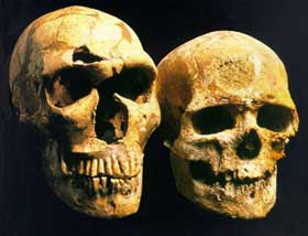 Neanderthal and Cro-Magnon