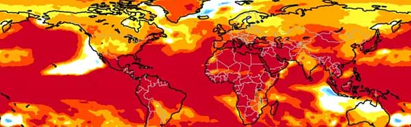 2024 var bare starten!